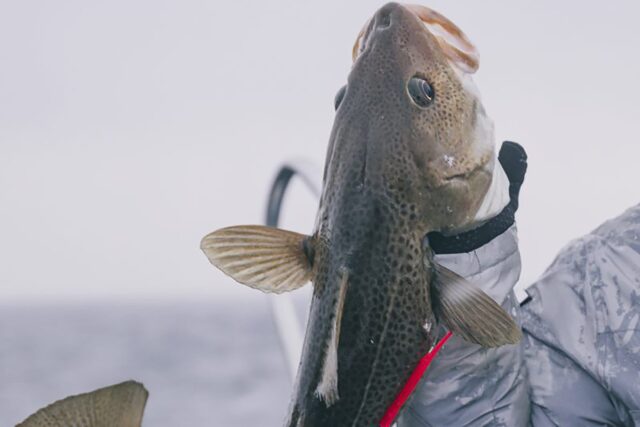 Top Restaurants Near me Best French Michelin Star London Essex French Pub Bar Dining Experience Classic Dishes