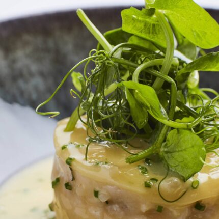 Making memories: An elegant milestone anniversary dinner experience at Galvin's.