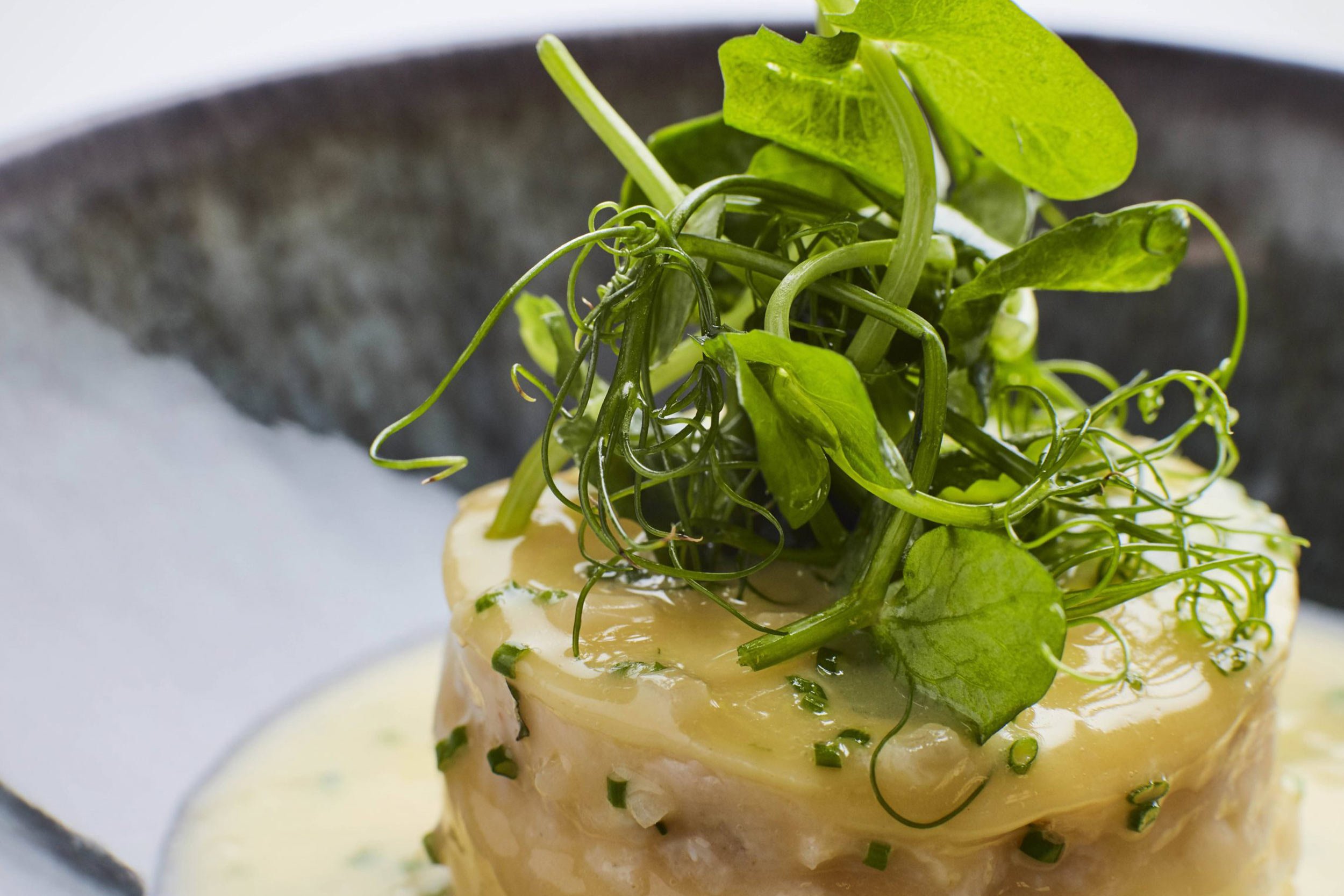 French Restaurant Winter Tasting Menu