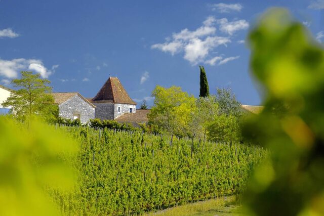 Restaurants in Shoreditch Cocktail Bars Spitalfields Market Restaurant near me Best French Brasserie Discover Beautiful Wines