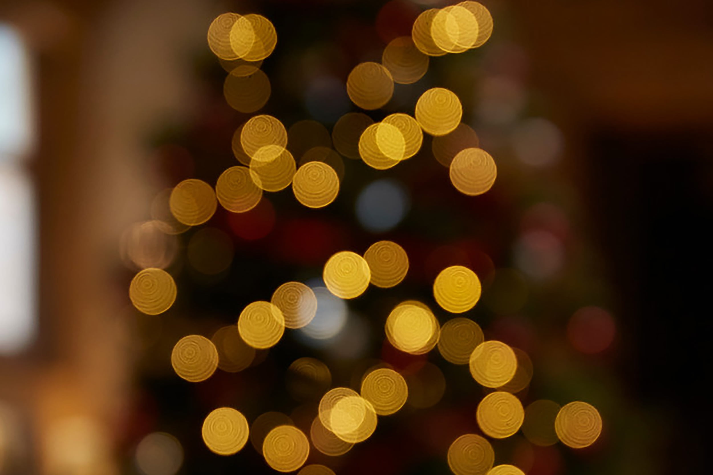 French Restaurant Raise Money Christmas Appeal