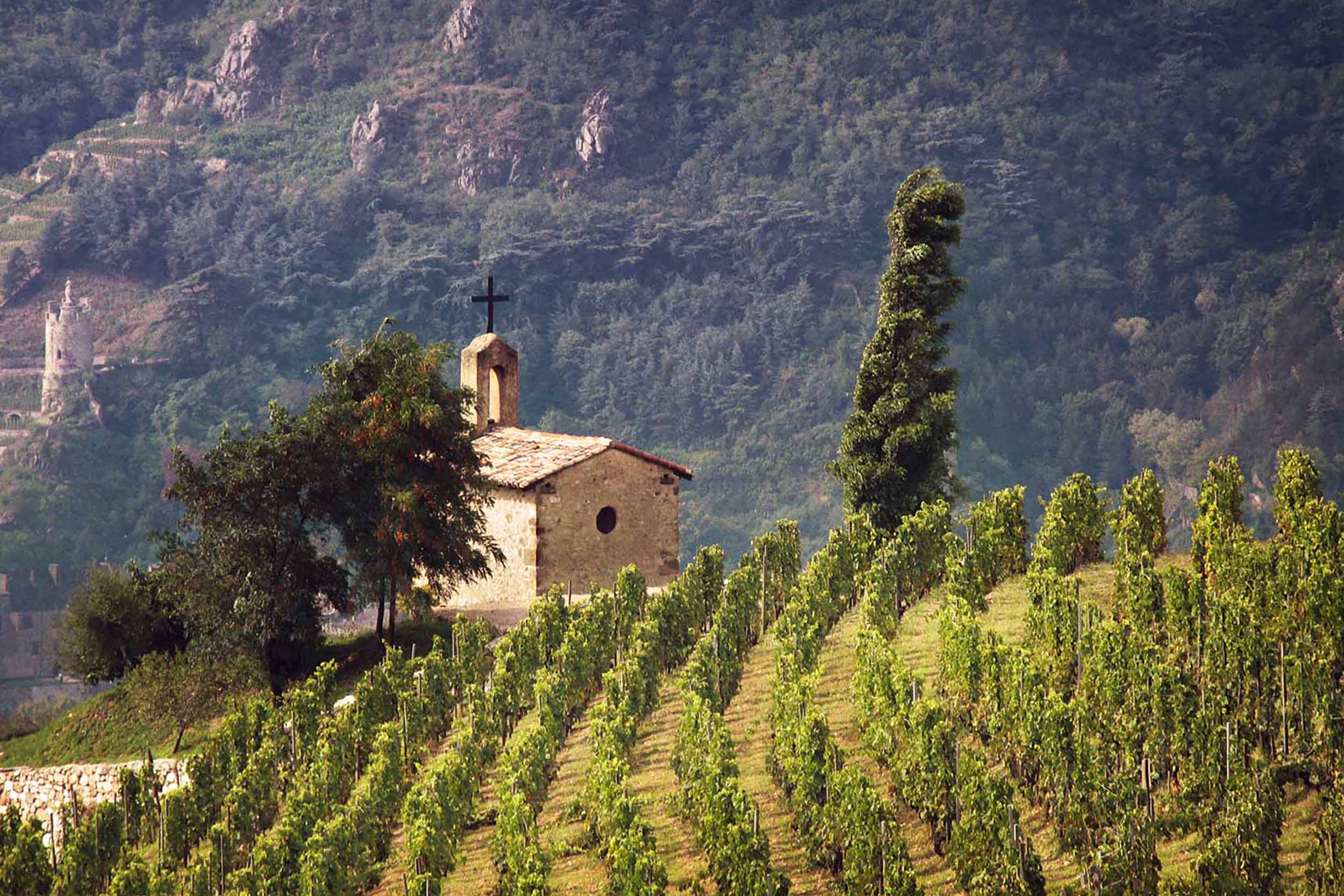 French Restaurant Home Wine Recommendations