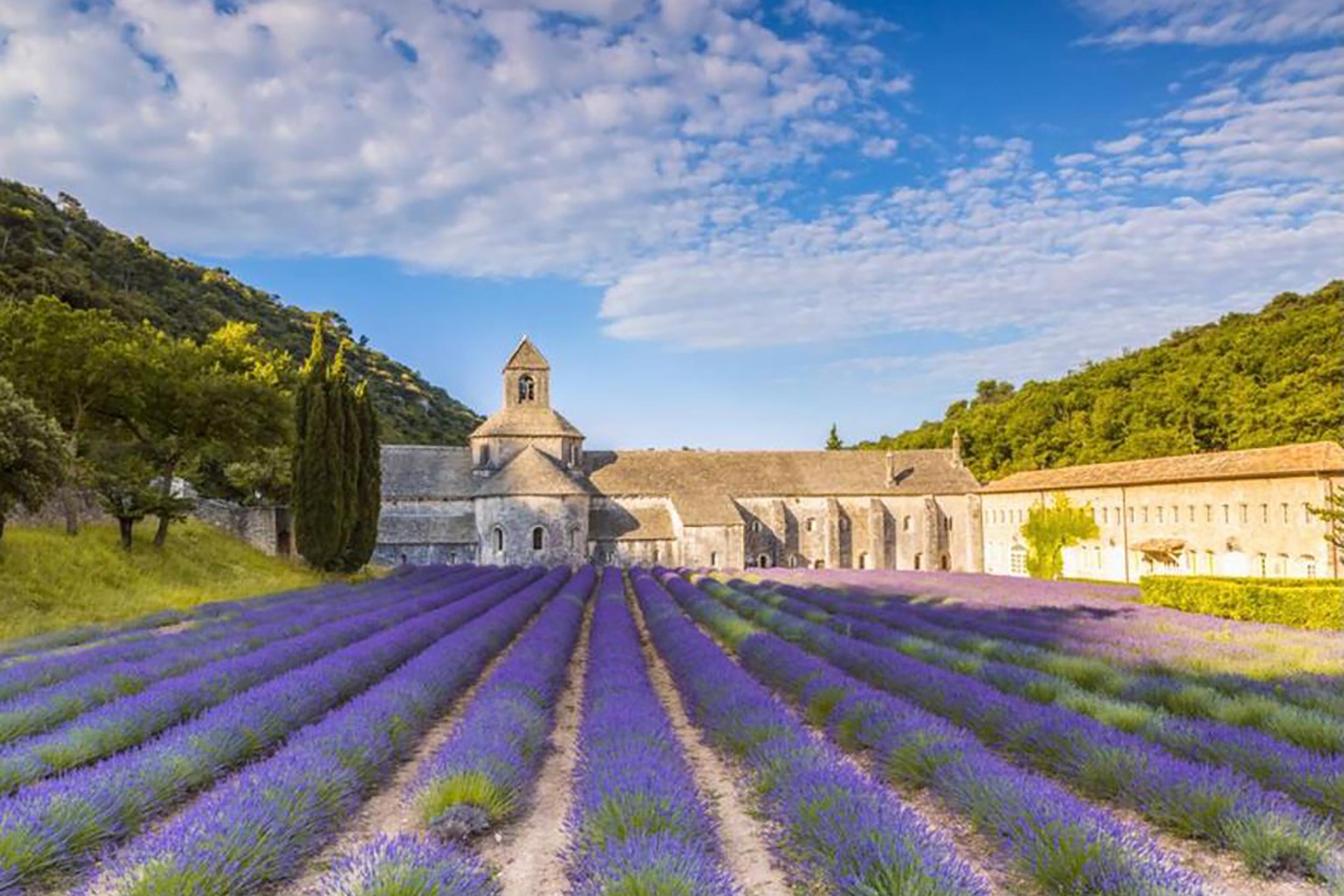 Restaurant Essex Southern France Dinner
