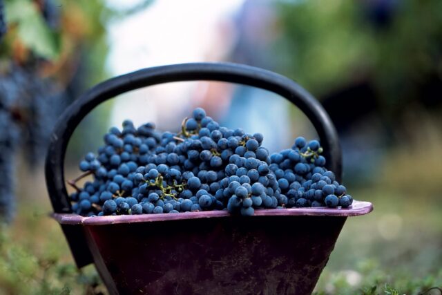 Top French Michelin Star Restaurant Near me Liverpool Street London Gift Vouchers Quinta Wine Dinner