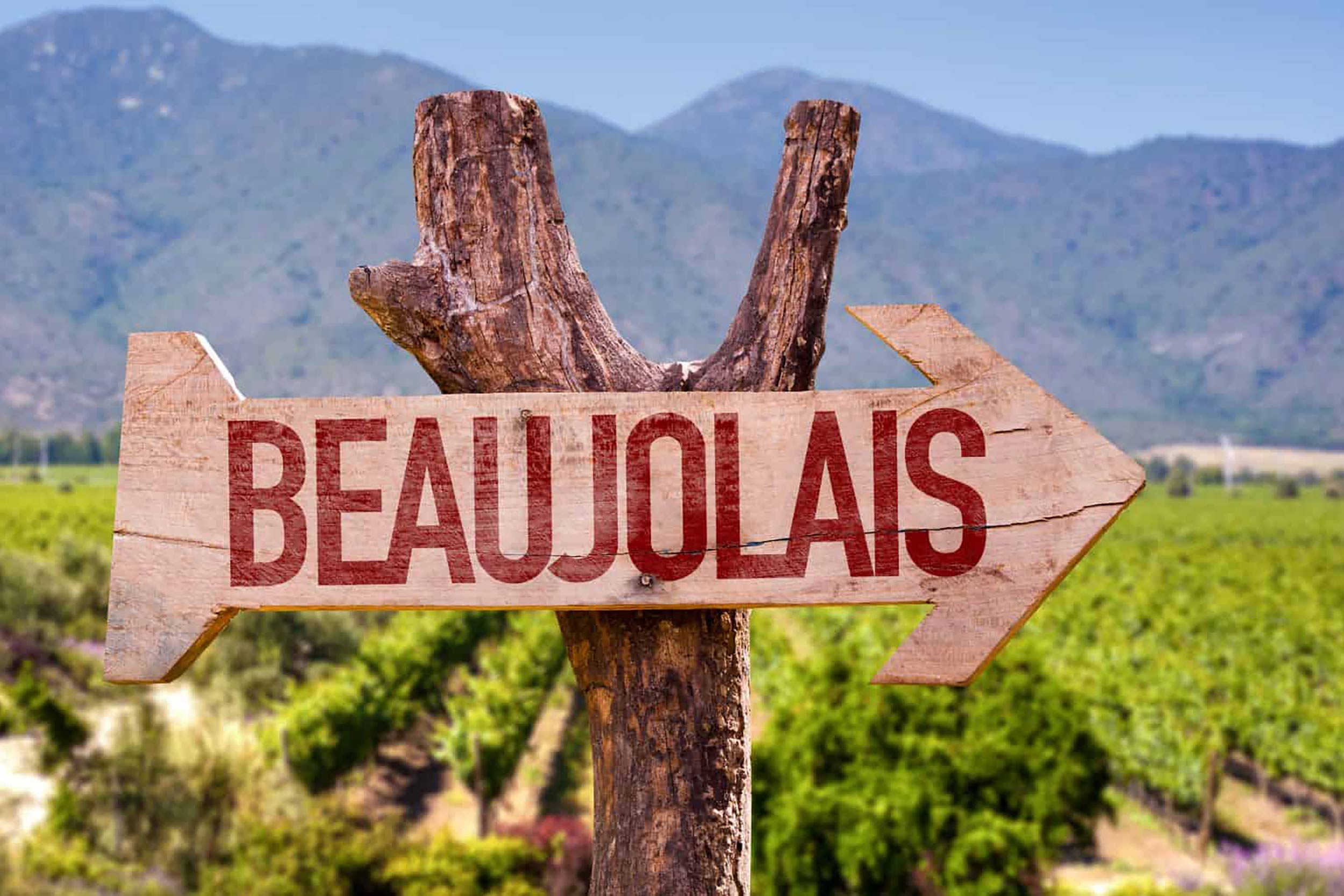 Restaurant Spitalfields Market Beaujolais Nouveau Day