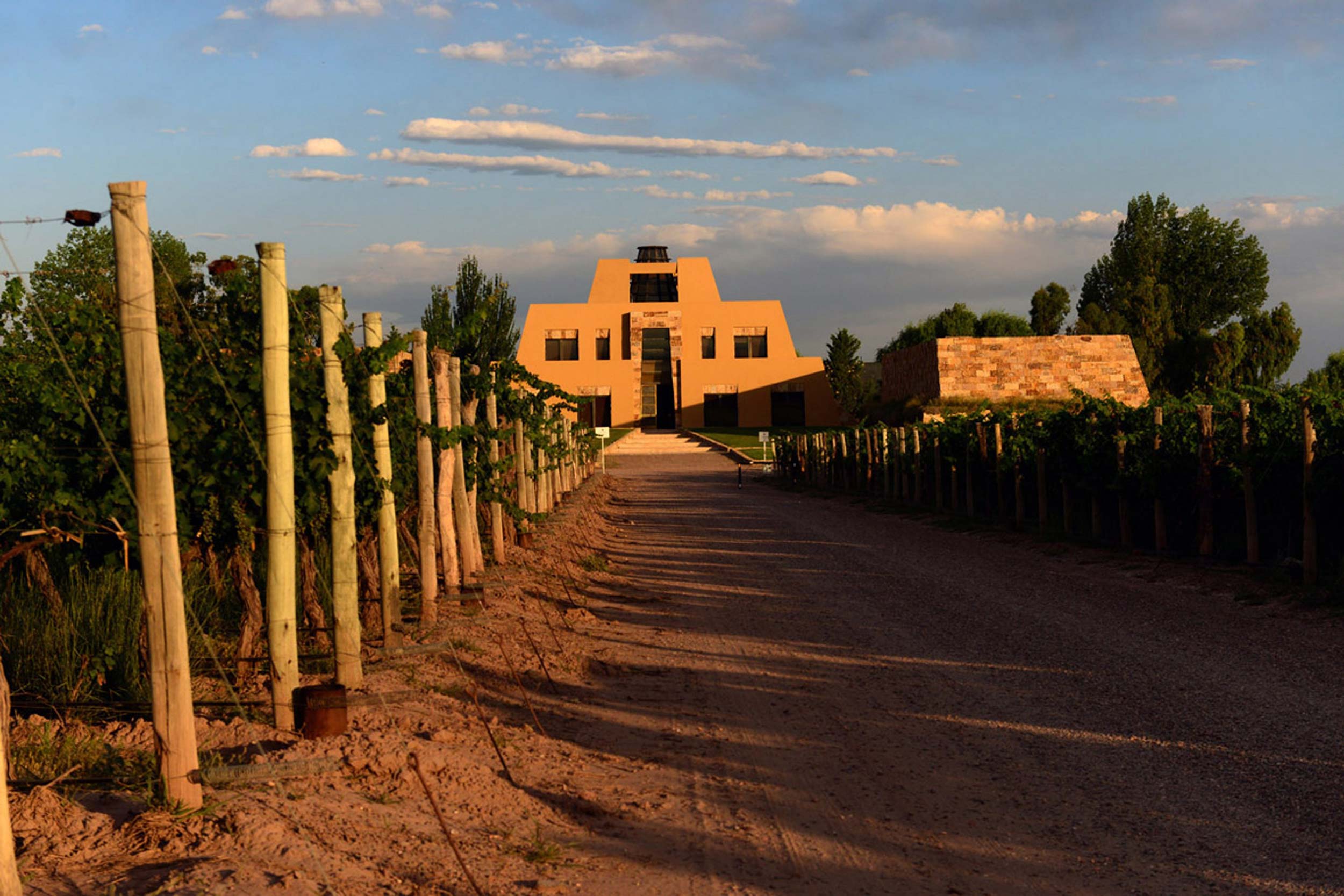 French Restaurant Catena Dinner