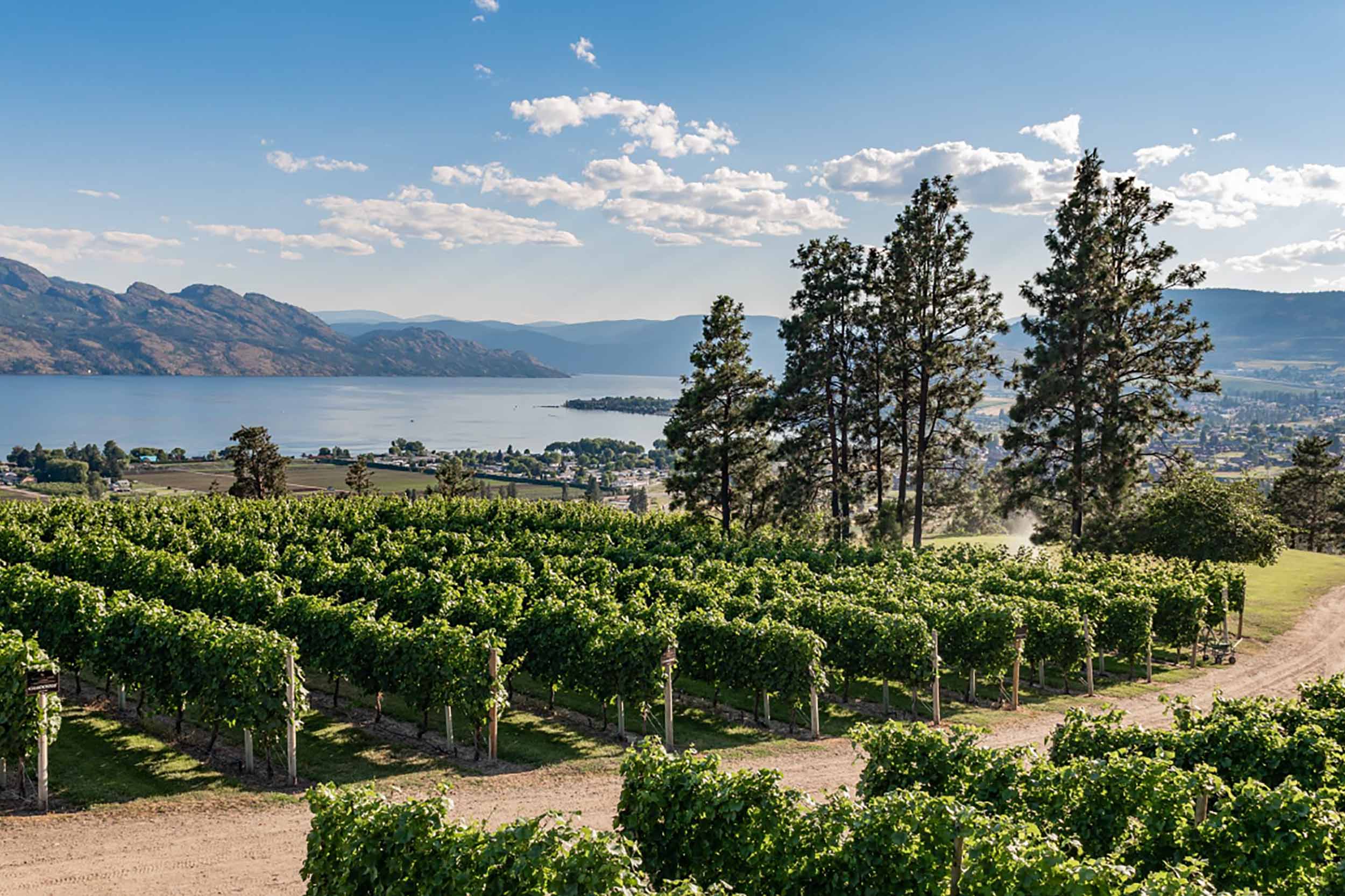 Michelin Restaurant London CO Wine Dinner