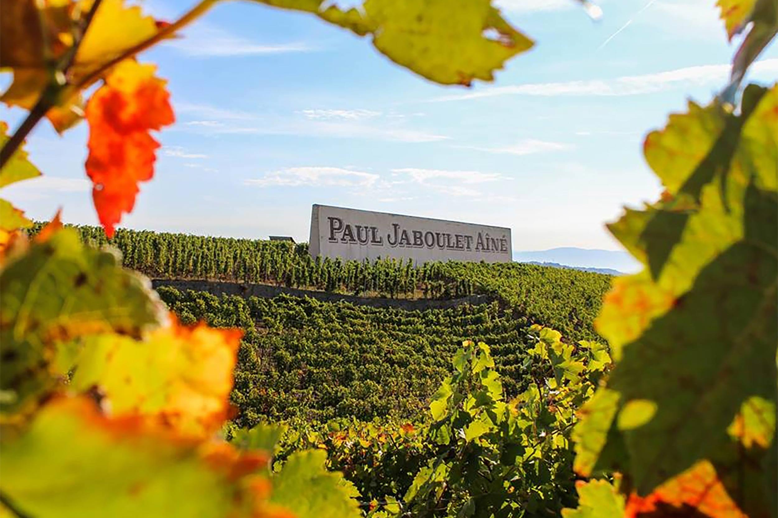 French Restaurant Paul Jaboulet Aîné Wine Dinner