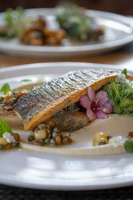 Artistically plated seasonal starter dish created by chefs at Galvin Green Man Essex.