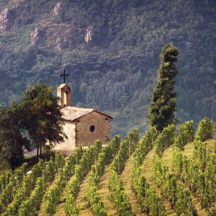 Best Michelin Star French Restaurant Near Me Dining Experience Bishopsgate London Jaboulet Wine Dinner