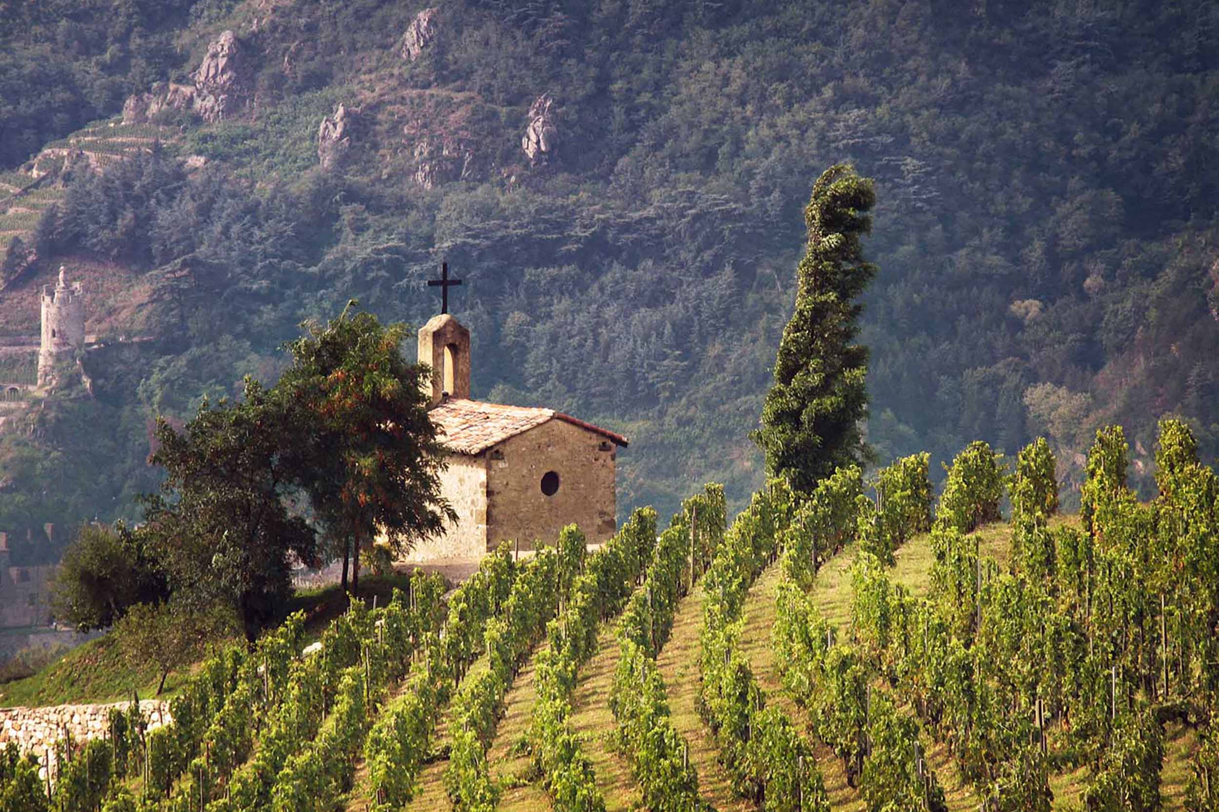 Best Michelin Star French Restaurant Near Me Dining Experience Bishopsgate London Jaboulet Wine Dinner