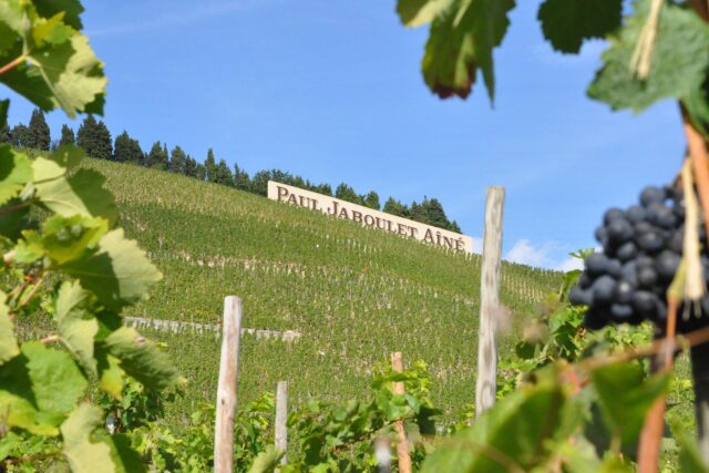 Best Michelin Star French Restaurant Near Me Dining Experience Bishopsgate London Jaboulet Wine Dinner