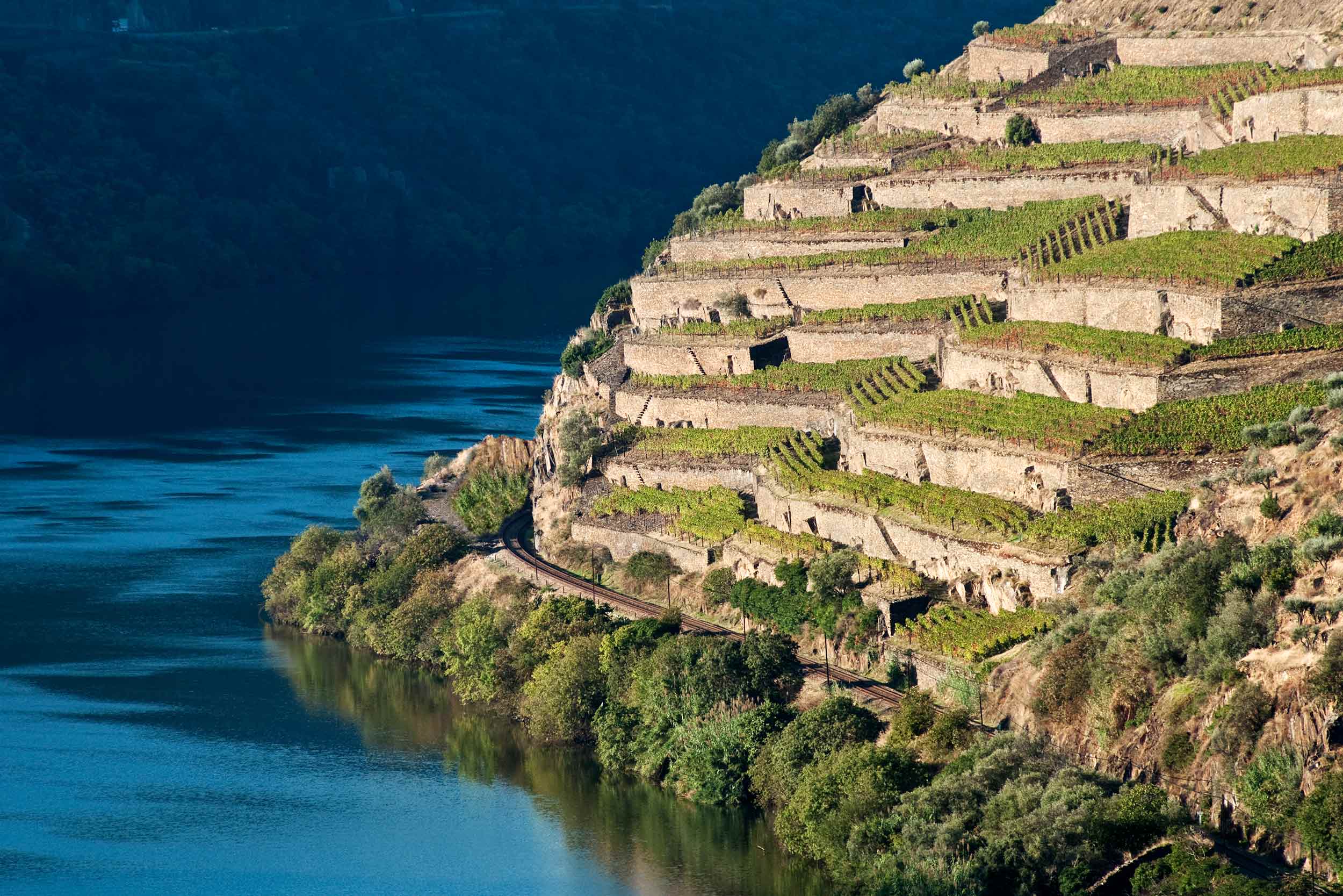 French Restaurant London Quinta de la Rosa Wine Dinner