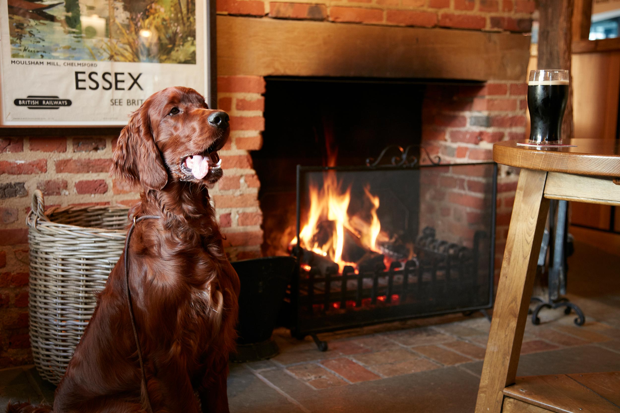 Restaurant Chelmsford Dog Walk Event