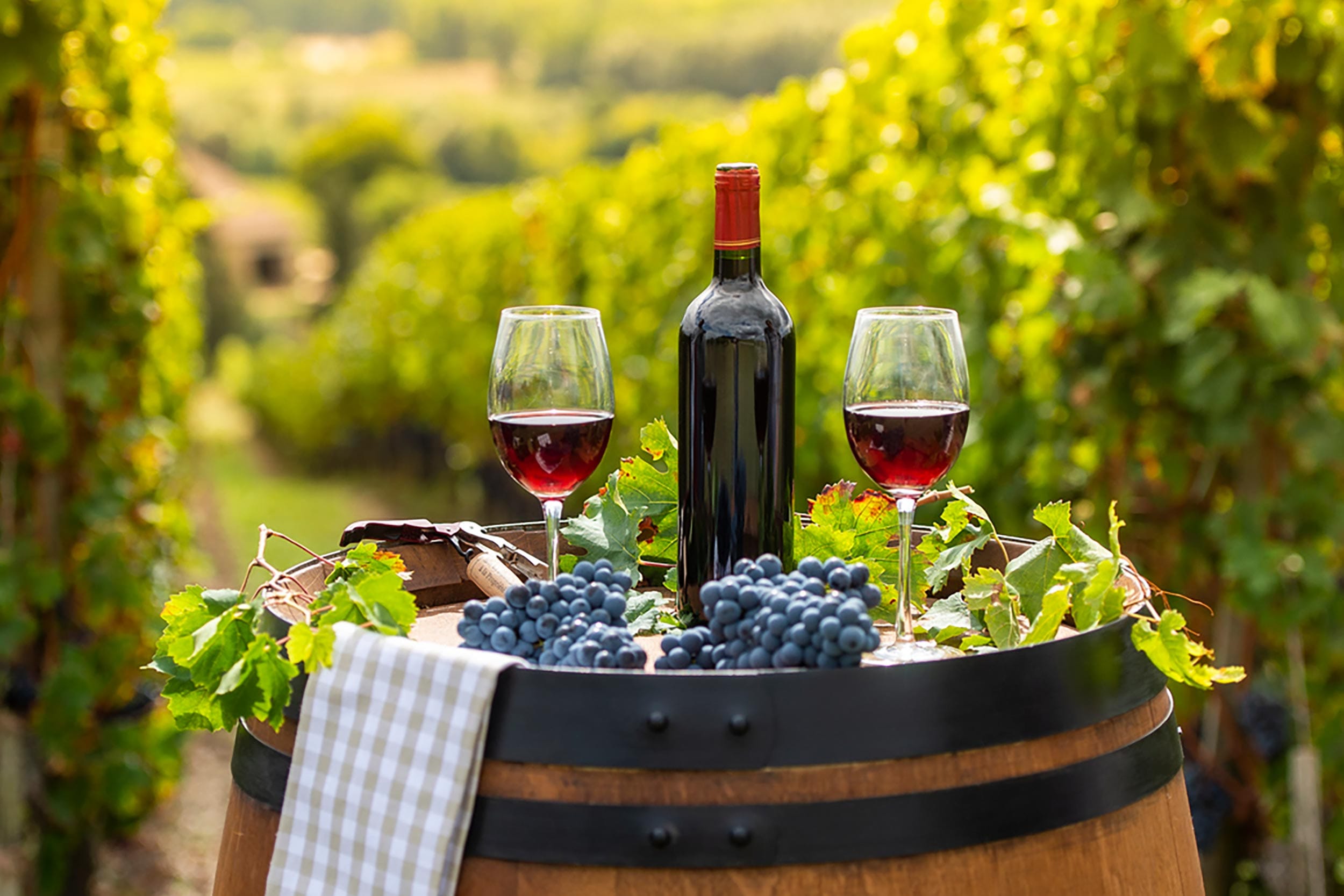 Restaurant Spitalfields Beaujolais is Back!