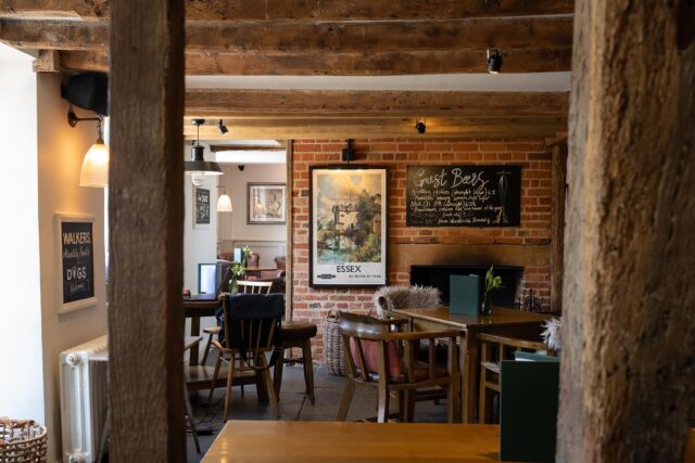 Musician Joe Gibson performing live acoustic guitar sets at Galvin Green Man Essex.
