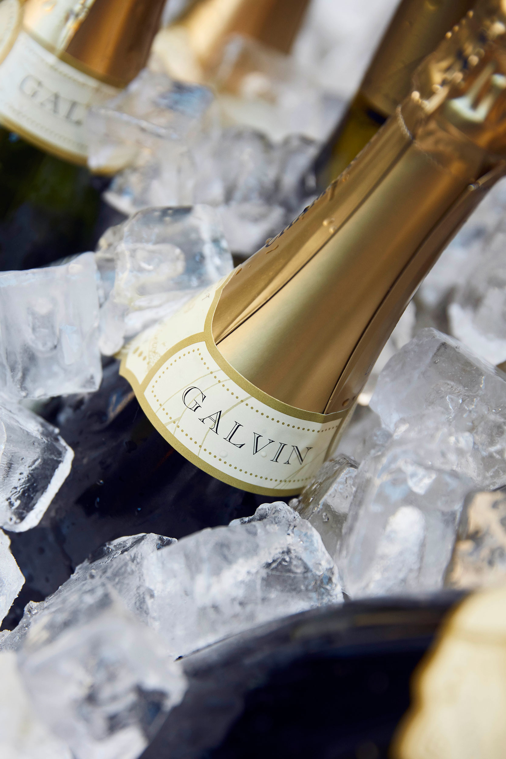 Premium hospitality and multi-course menus for New Year's Eve bookings in Essex.