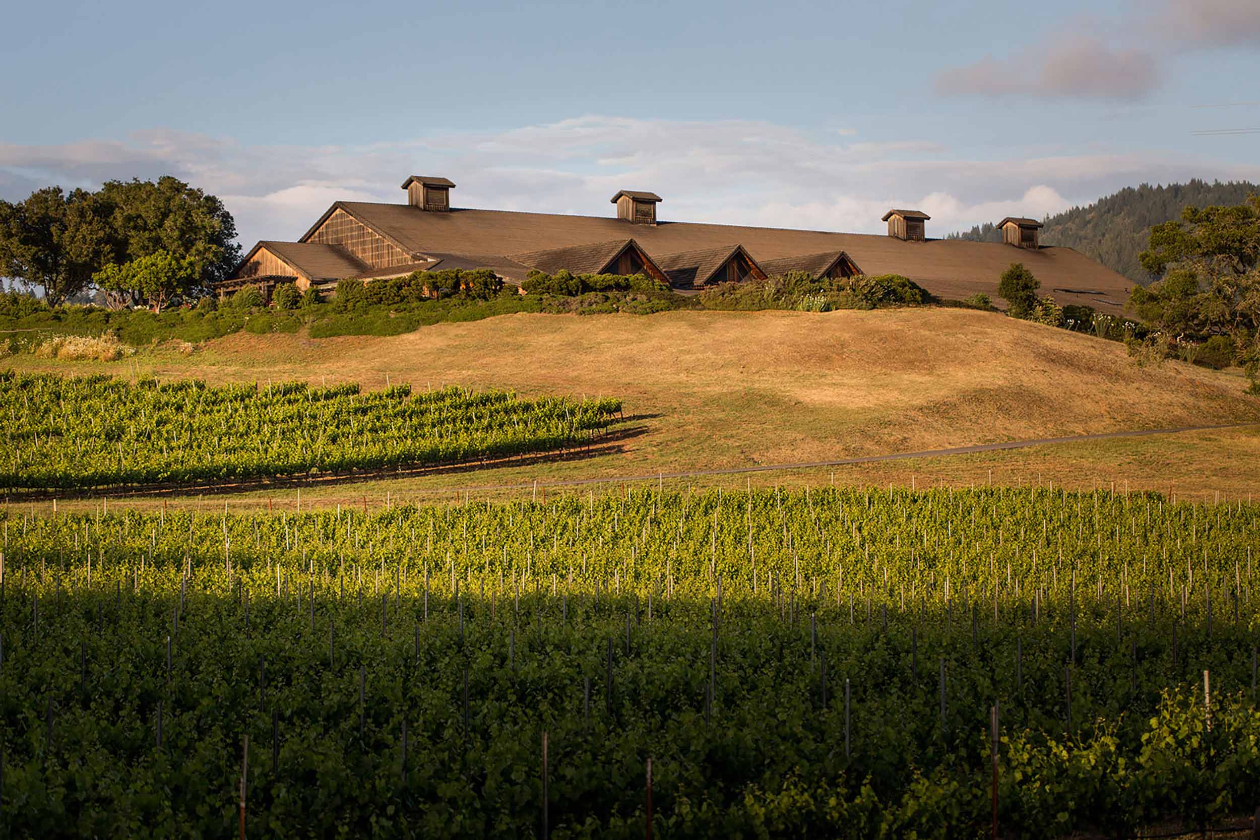 A Sparkling Wine Dinner at Galvin Green Man